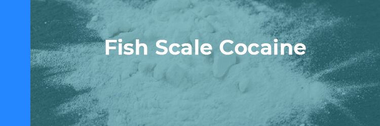 mtr-fishscale-cocaine